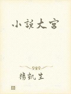 小说大宫