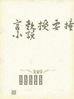 言教授要撞坏了小说