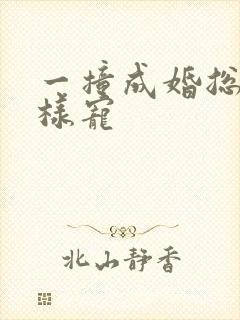 一撞成婚总裁花样宠