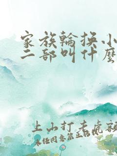 家族轮换小说第二部叫什么名字