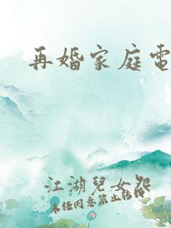 再婚家庭电视剧