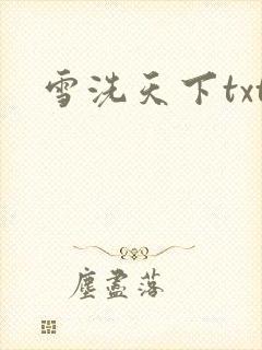 雪洗天下txt