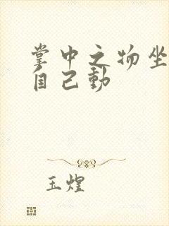 掌中之物坐上来自己动