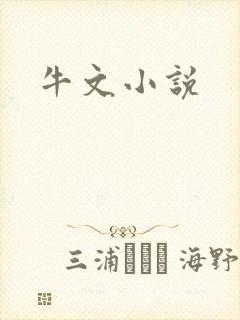 牛文小说