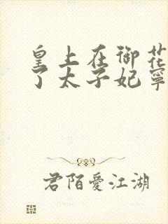 皇上在御花园C了太子妃宁儿