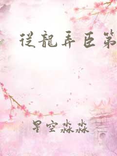 从龙弄臣第一次