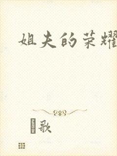 姐夫的荣耀全集