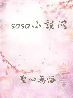 soso小说网
