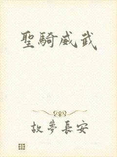 圣骑威武