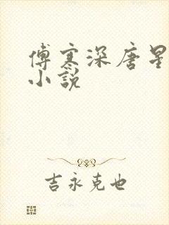 傅寒深唐星挽的小说