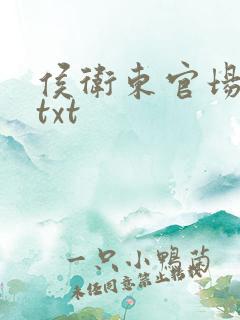 侯卫东官场笔记txt