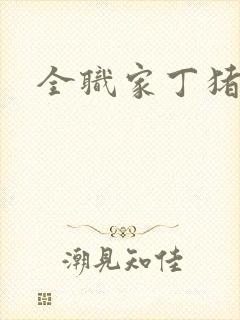 全职家丁猪猪岛