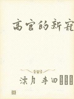 高官的新宠