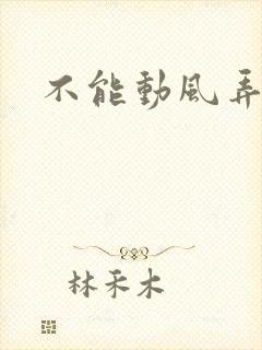 不能动风弄