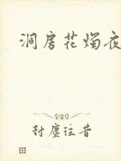 洞房花烛夜小说