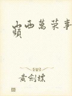 山西万荣事件视频