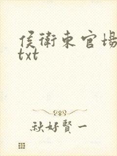 侯卫东官场笔记txt