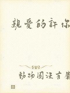 亲爱的许你来生