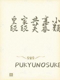 皇家共享小公主皎皎芙蓉类小说