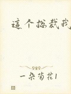 这个总裁我要了