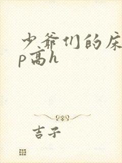 少爷们的床奴np高h