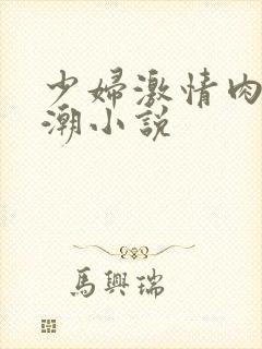 少妇激情肉欲高潮小说