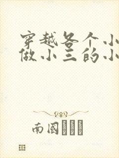 穿越各个小世界做小三的小说