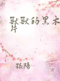 兽兽的黑木耳照片