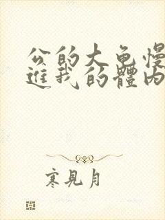 公的大龟慢慢挺进我的体内小说