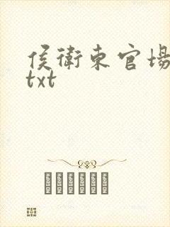 侯卫东官场笔记txt