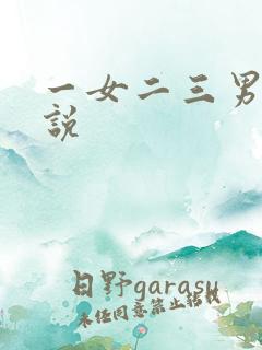 一女二三男事小说