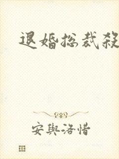 退婚总裁杀手妻