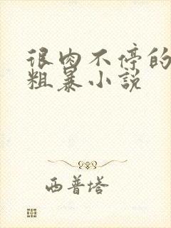 很肉不停的做很粗暴小说