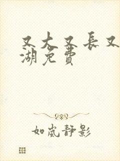 又大又长又租高湖免费