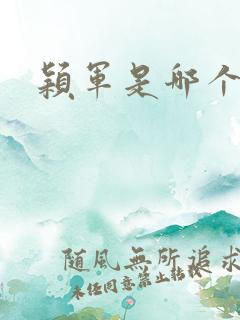 颖军是哪个军阀