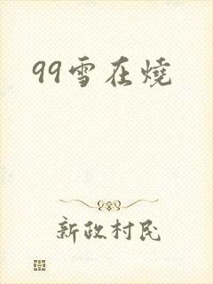 99雪在烧