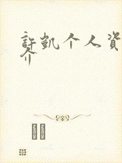 许凯个人资料简介