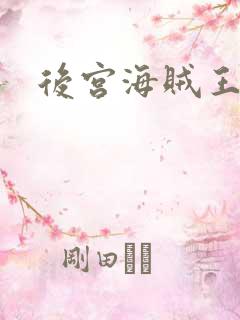 后宫海贼王下载