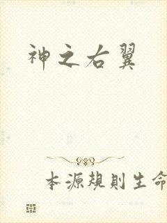 神之右翼