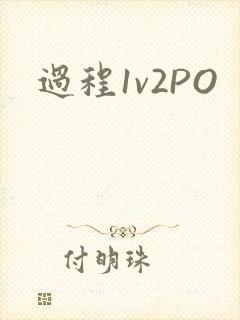 过程1v2PO