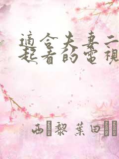 适合夫妻二人一起看的电视剧