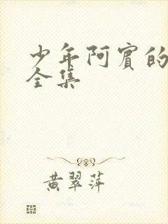 少年阿宾的故事全集