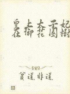 皇上太子妃沈音在御花园树上