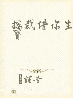 总裁借你生个宝宝