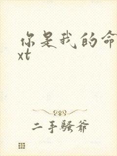 你是我的命运txt