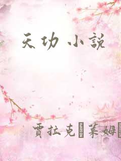 天功 小说