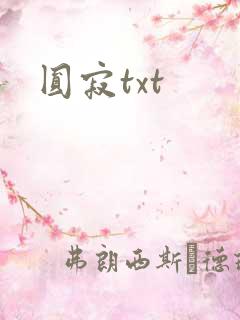 圆寂txt