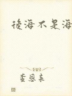 后海不是海小说