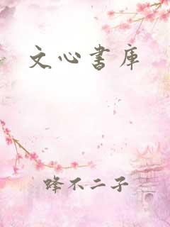 文心书库