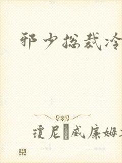 邪少总裁冷心秘